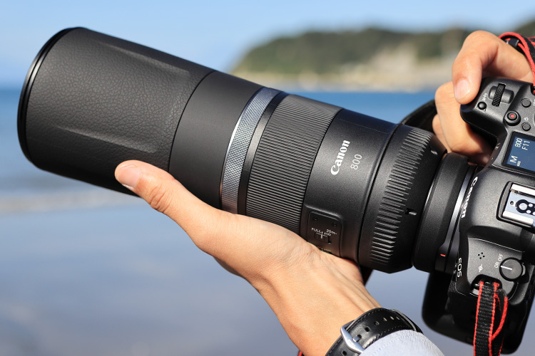 第8回 RF800mm F11 IS STM RFレンズ、買ってもいいですか？：特集