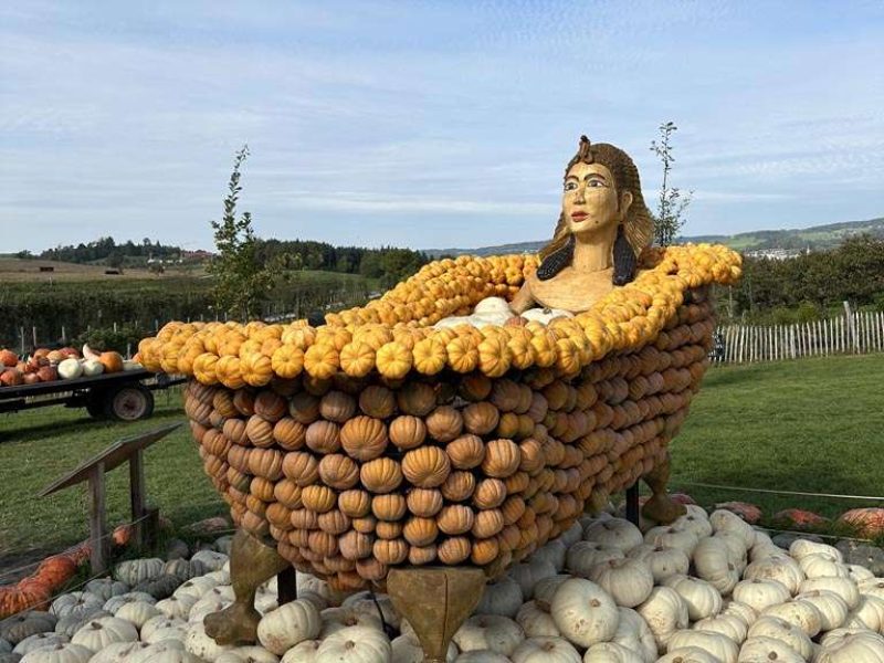 Easy walk to the pumpkin exhibition at Jucker Farm - PerSpa in