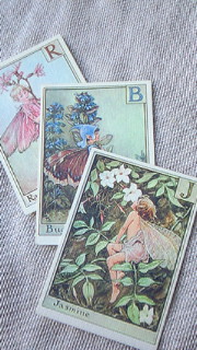 森永ハイクラウンのフェアリーカード : Kotorico コトリコ