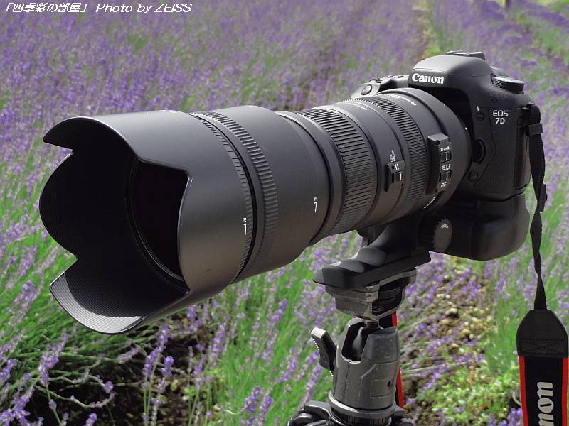 SIGMA APO 50-500mm F4.5-6.3 DG OS HSM : 四季彩の部屋