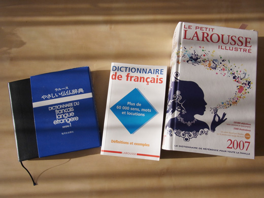 仏仏辞書 : ときどき日誌 sur NetVillage