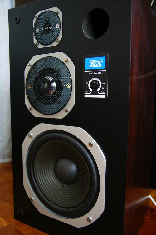 CORAL X-Ⅲ 着弾 : IT総研の日記