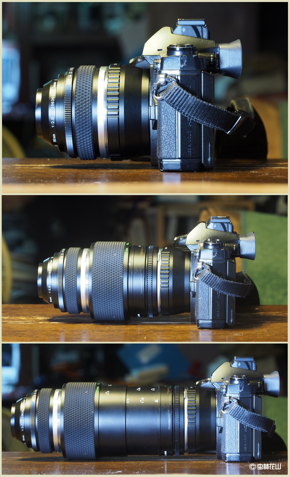 20150208 昔のマクロレンズ（Zuiko Auto-macro 38mm f2.8）で越冬卵を