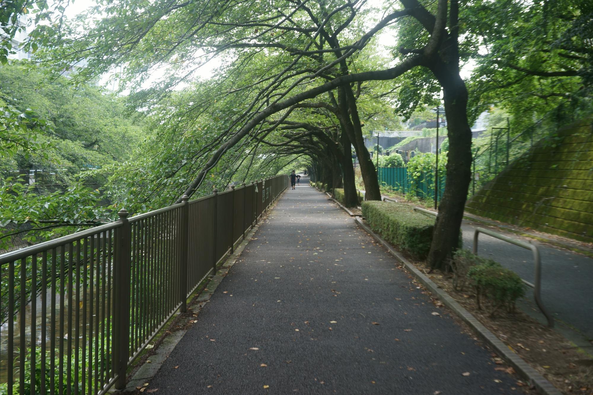 KOWA KALLO 35 Prominar F.C. f/2.8 48㎜でぶらり : 写真機持って街