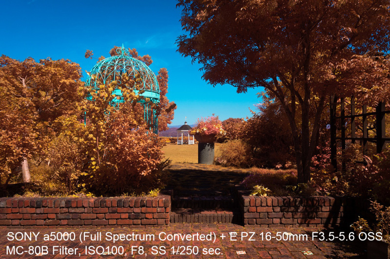 フルスペクトルカメラ七変化 : Soul Eyes