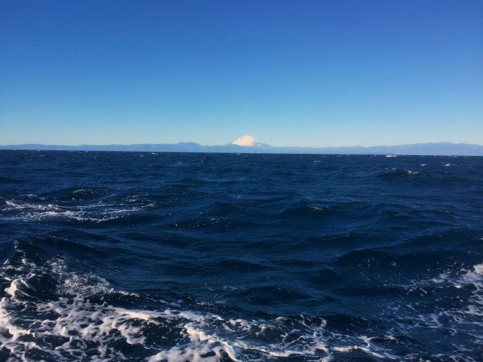 フライフィッシング情報byクレオール －1