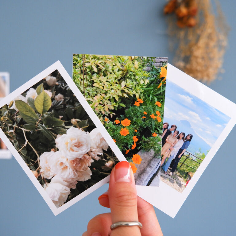 ハーフサイズプリント | セブン-イレブン オンラインフォトサービス