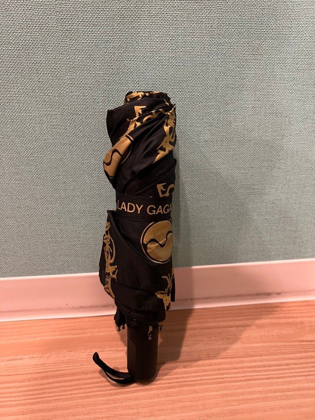 何とかお返ししたい」ガガ来日公演で突然の大雨…車いすの妻に「VIP席