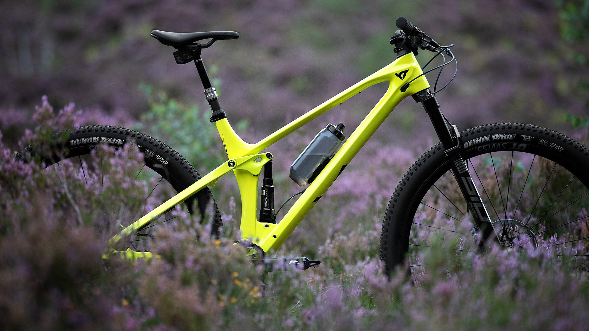 original_Izzo_Uncaged7_Detail_