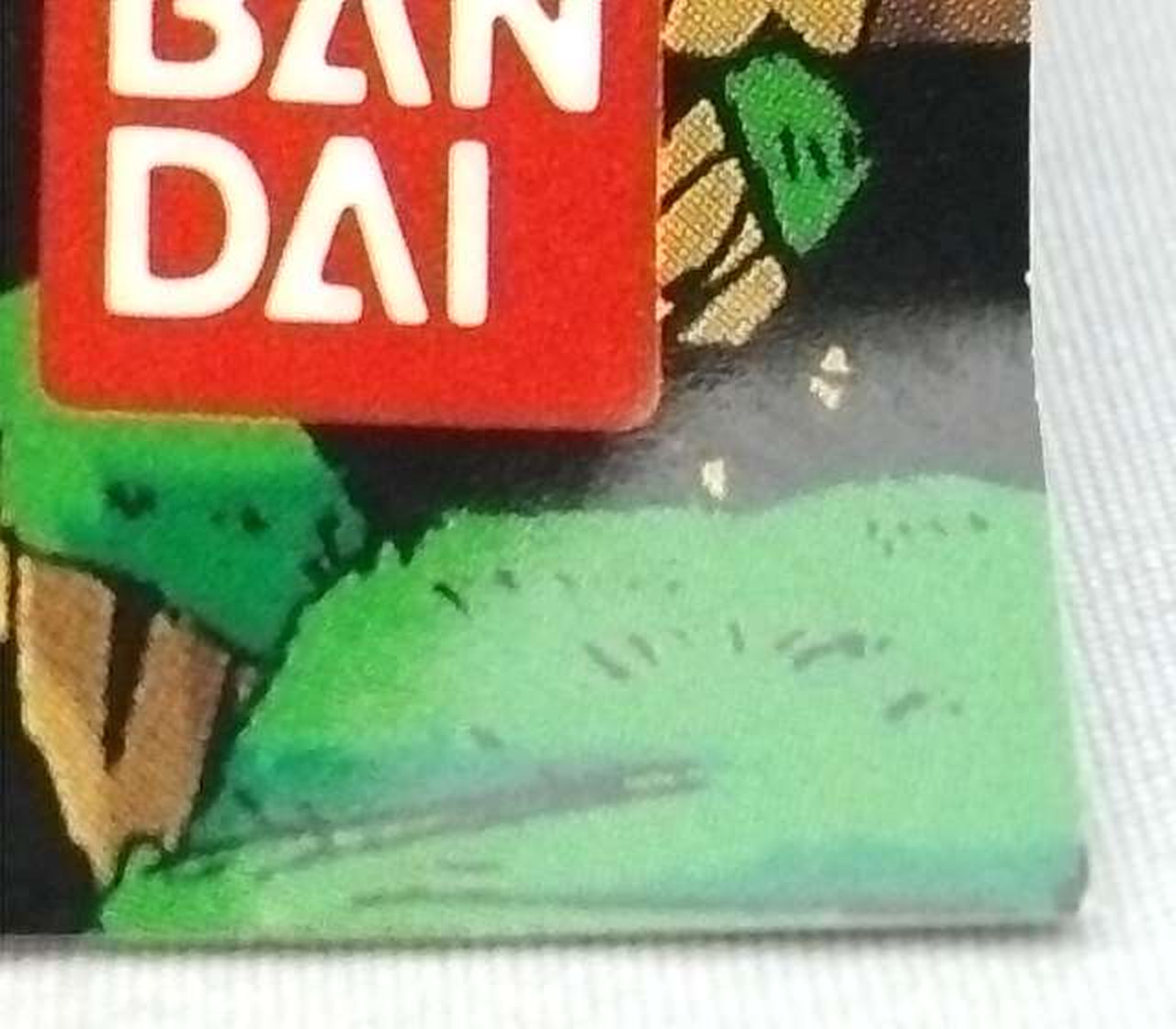 バンダイ(BANDAI)|ドラゴンボールZ 真サイヤ人絶滅計画 地球編