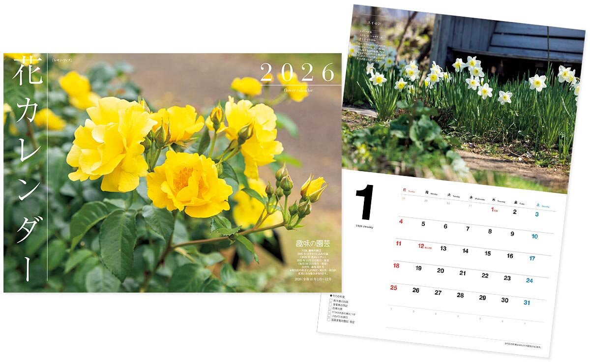 趣味の園芸』2025年12月号の紹介～懐かしくて、新しい！シン・昭和