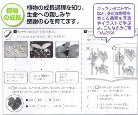 七田式小学生プリント生活1・2年通販【七田式プリント】 ＜ 七田式教材