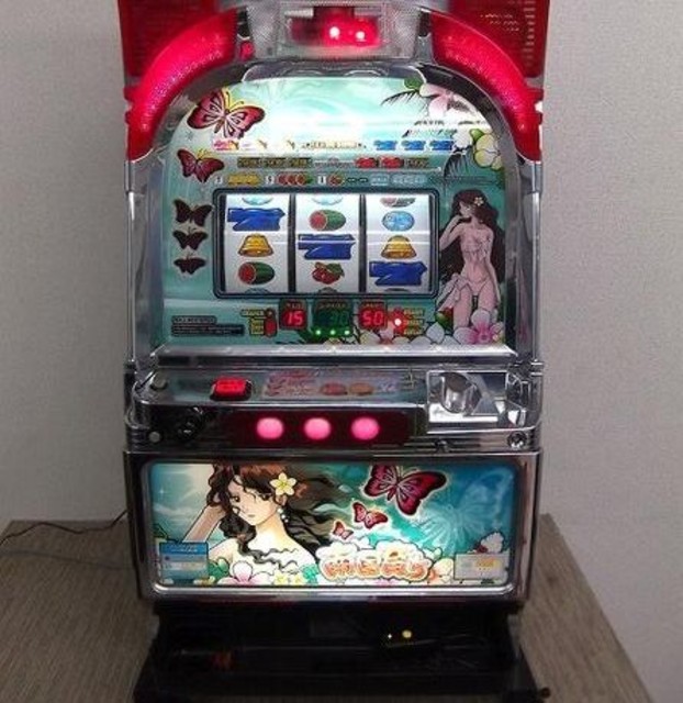 南国育ち 4号機 レイコパネル メダル不要機 パチスロ実機 （ その他