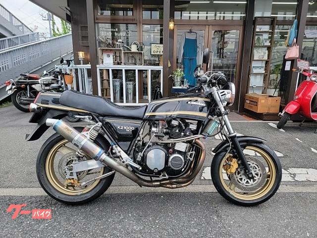 グーバイク】「gpz900r カスタム ペイント」のバイク検索結果一覧(1～11件)