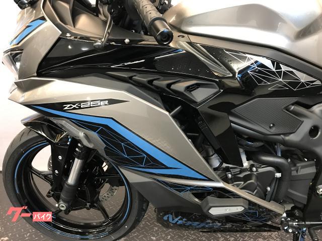 カワサキ Ninja ZX－25R SE 2024 メタリック
