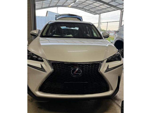 レクサス NX NX300h Fスポーツグリル グリル交換 純正グリル