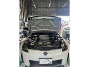 1000803_20241224181005_828_P_P