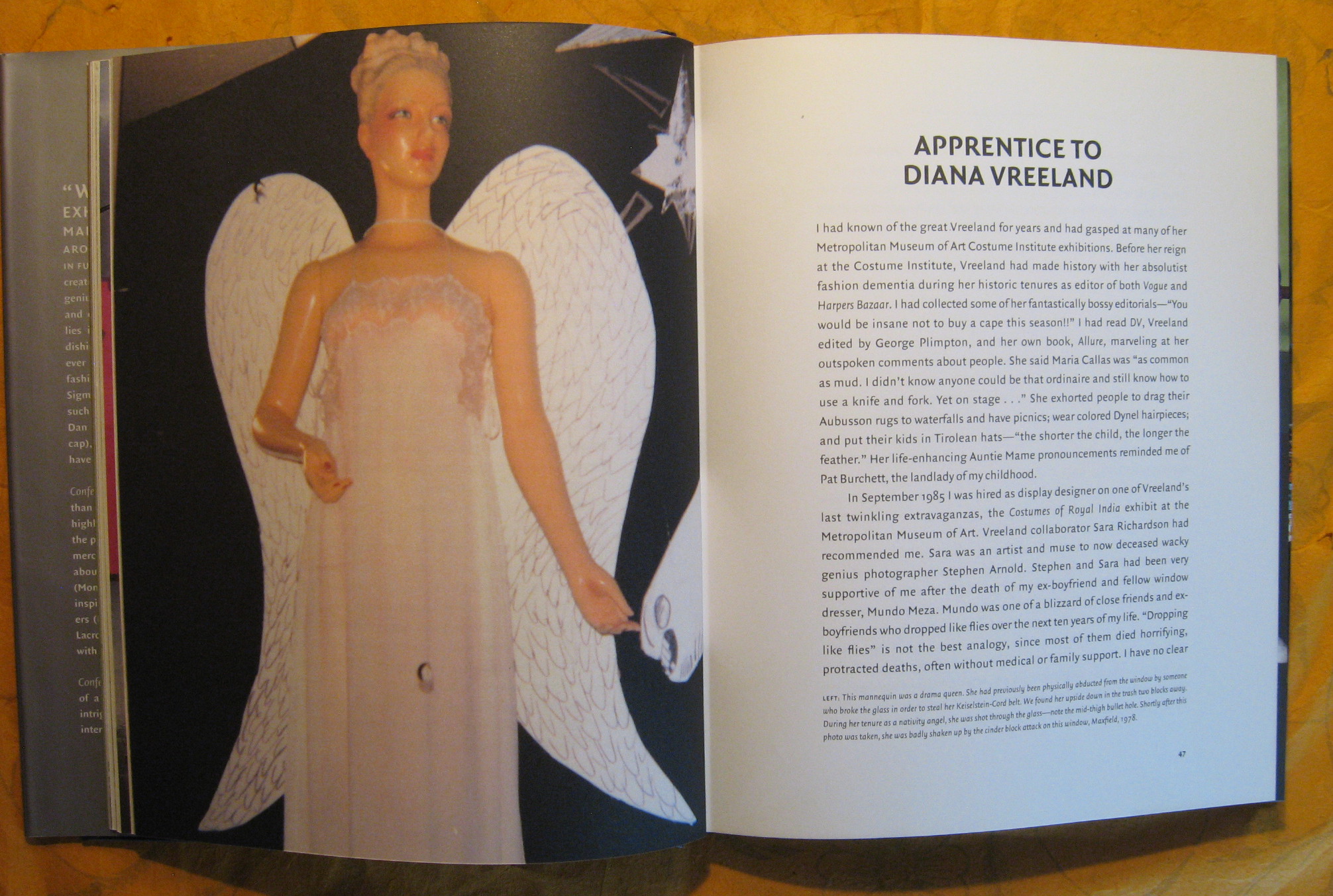 Confessions of a Window Dresser: Tales from a Life in Fashion by