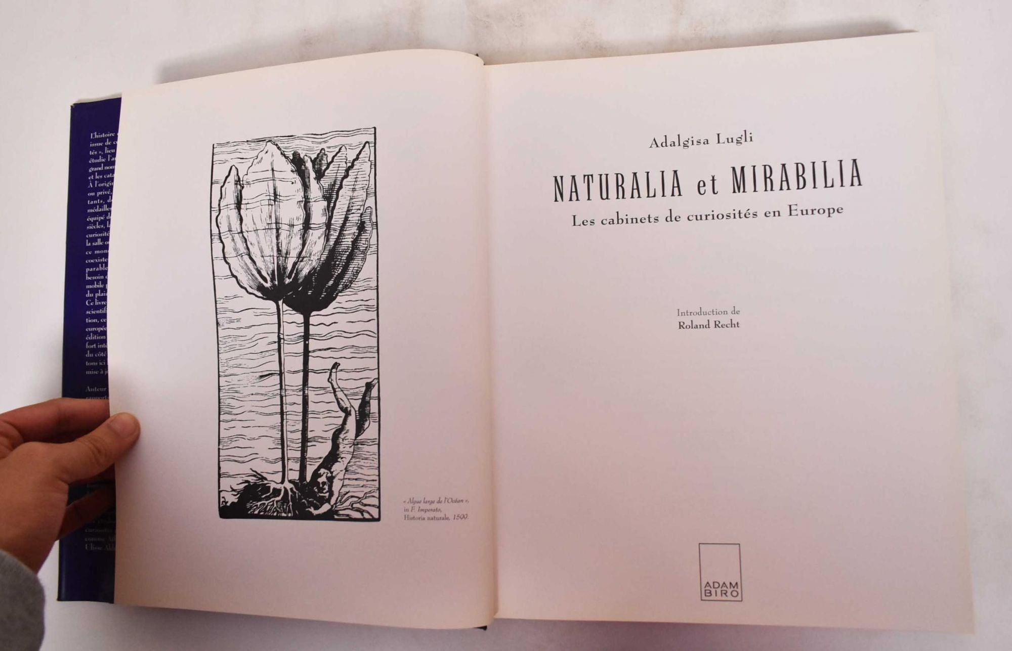 Naturalia et Mirabilia: Les Cabinets de Curiosites en Europe da
