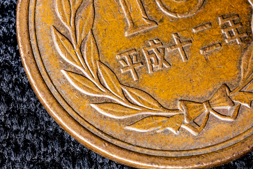 超拡大の世界 CANON MP-E65mm F2.8 1-5×マクロフォト | PicoN!