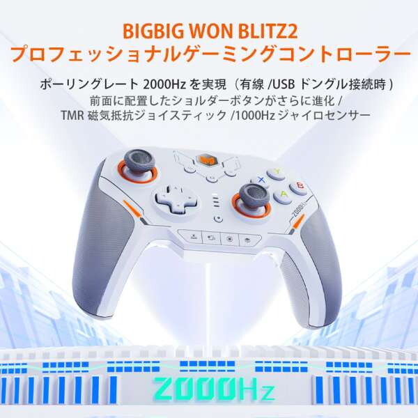 BIGBIG WON Blitz 2 TMR グレー [ワイヤレス&有線ゲーミング