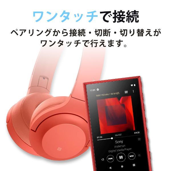 SONY NW-A105-R レッド Walkman(ウォークマン) A100シリーズ