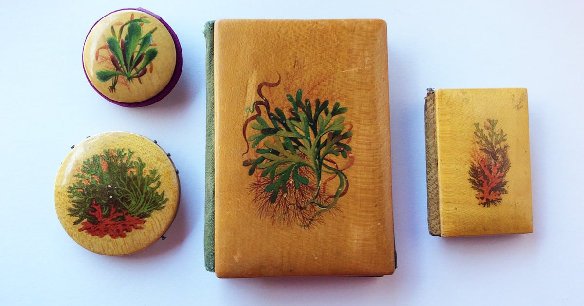 Mauchline Ware: A Needleworker's Collection | PieceWork