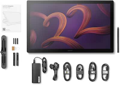 Wacom Cintiq Pro 22 Creative Pen Drawing Tablet with Touch Display