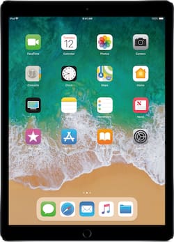 Apple 12.9 Inch iPad Pro (2nd generation) with Wi Fi 256GB Space