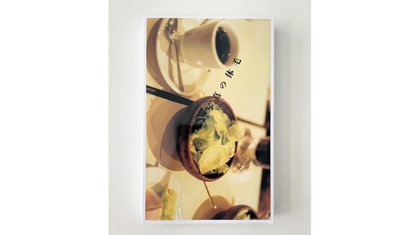 髙橋義隆：佐内正史『写真の体毛』：Photo & Culture, Tokyo