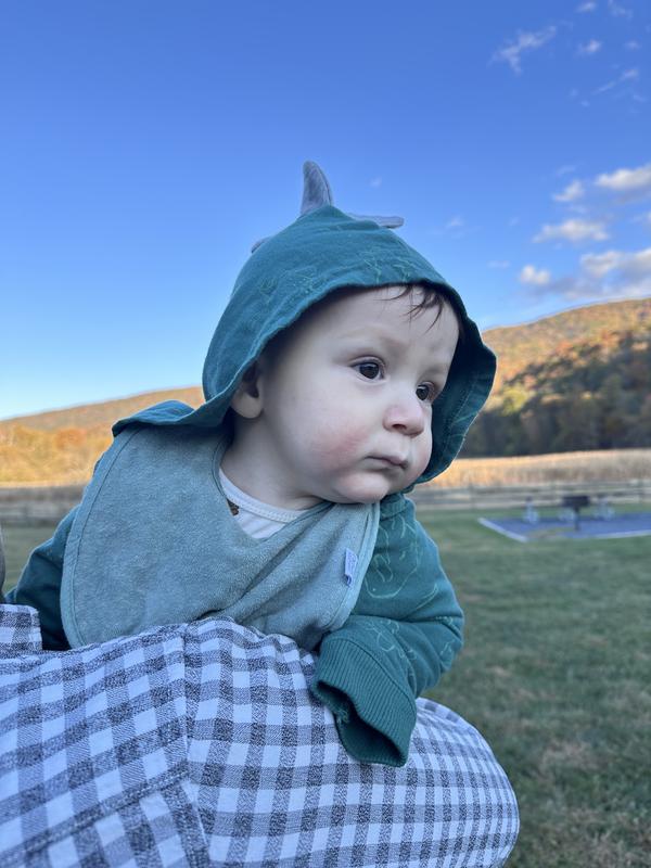 Baby 3-Piece Dinosaur Thermal Little Jacket Set - Blue/Heather