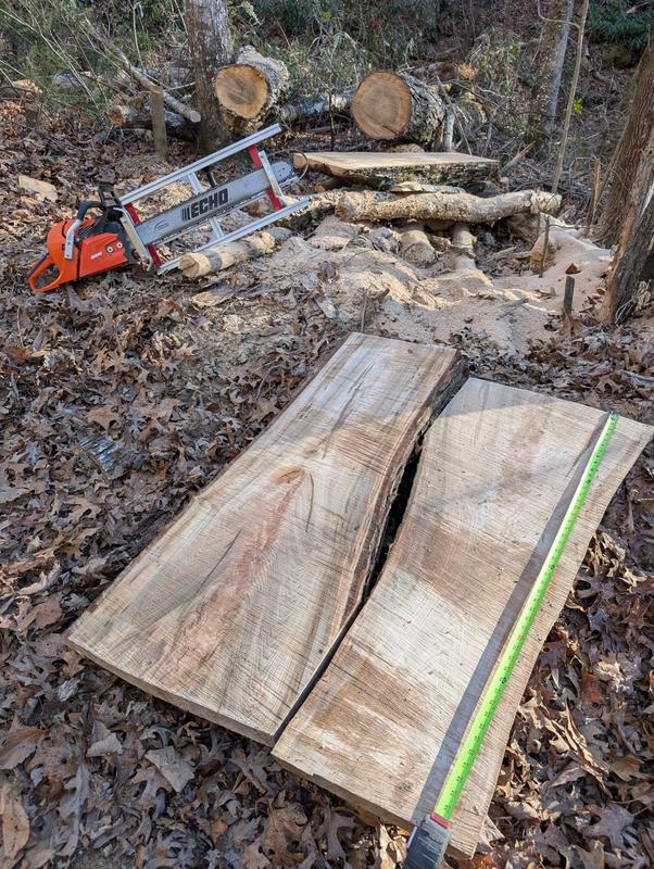 ECHO X Series, Gas-Powered Rear Handle Chainsaw, Bar Length 20 in