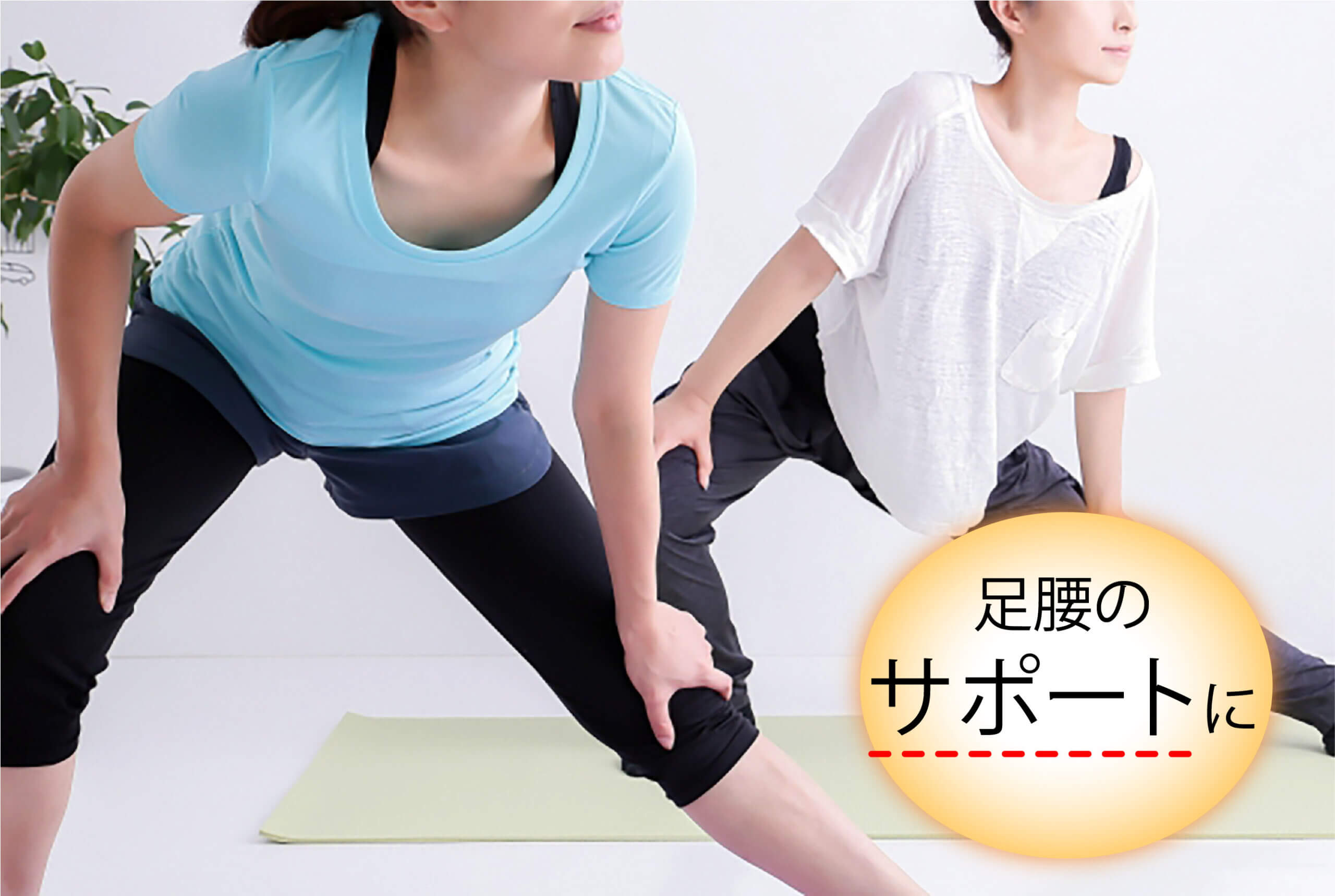 LIFEWAVE icewave＜ アイスウェーブ ＞ | ライフウェーブパッチ等健康