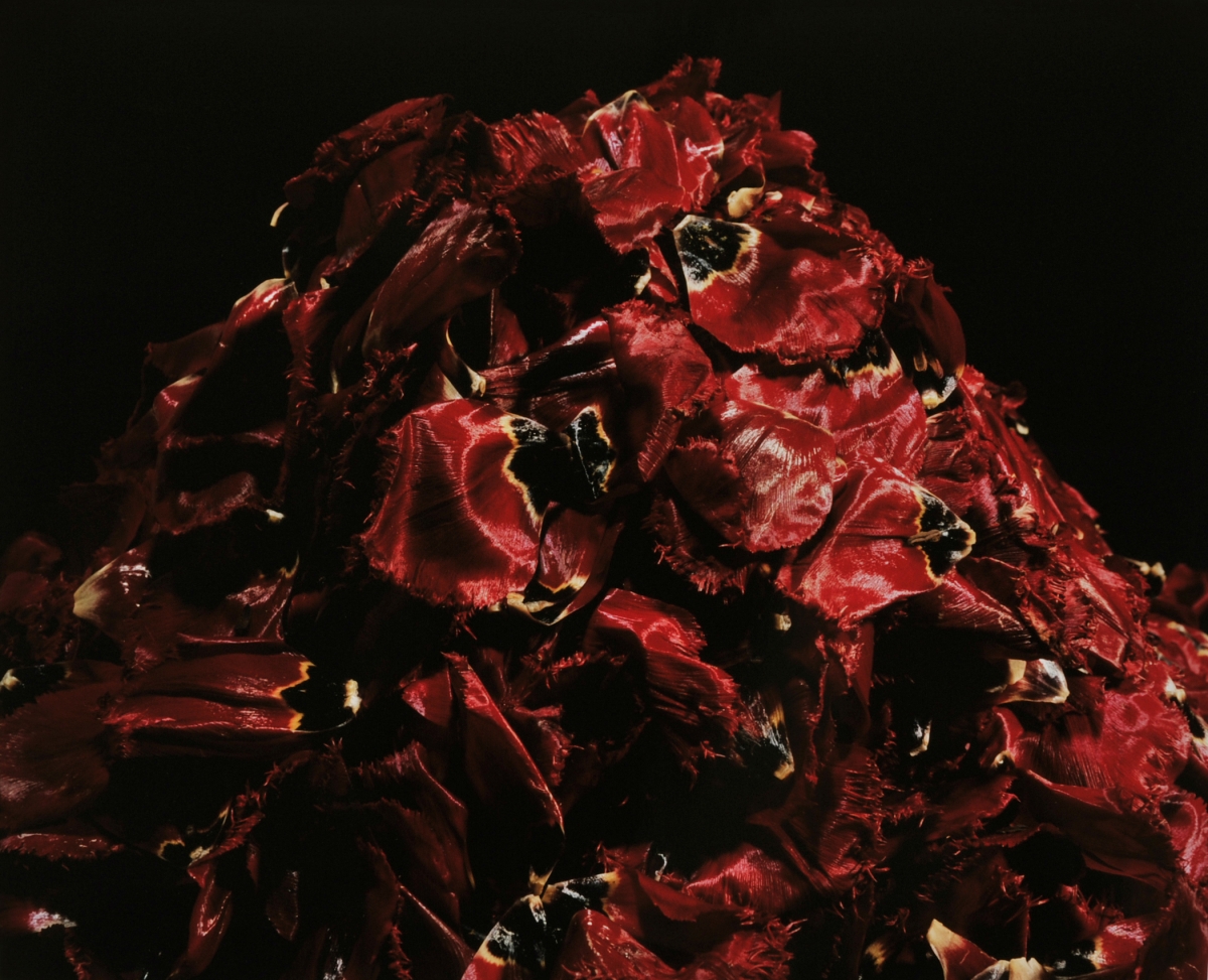 受賞作家名: NAKAGAWA Yukio – 中川 幸夫 | 東川町国際写真フェスティバル