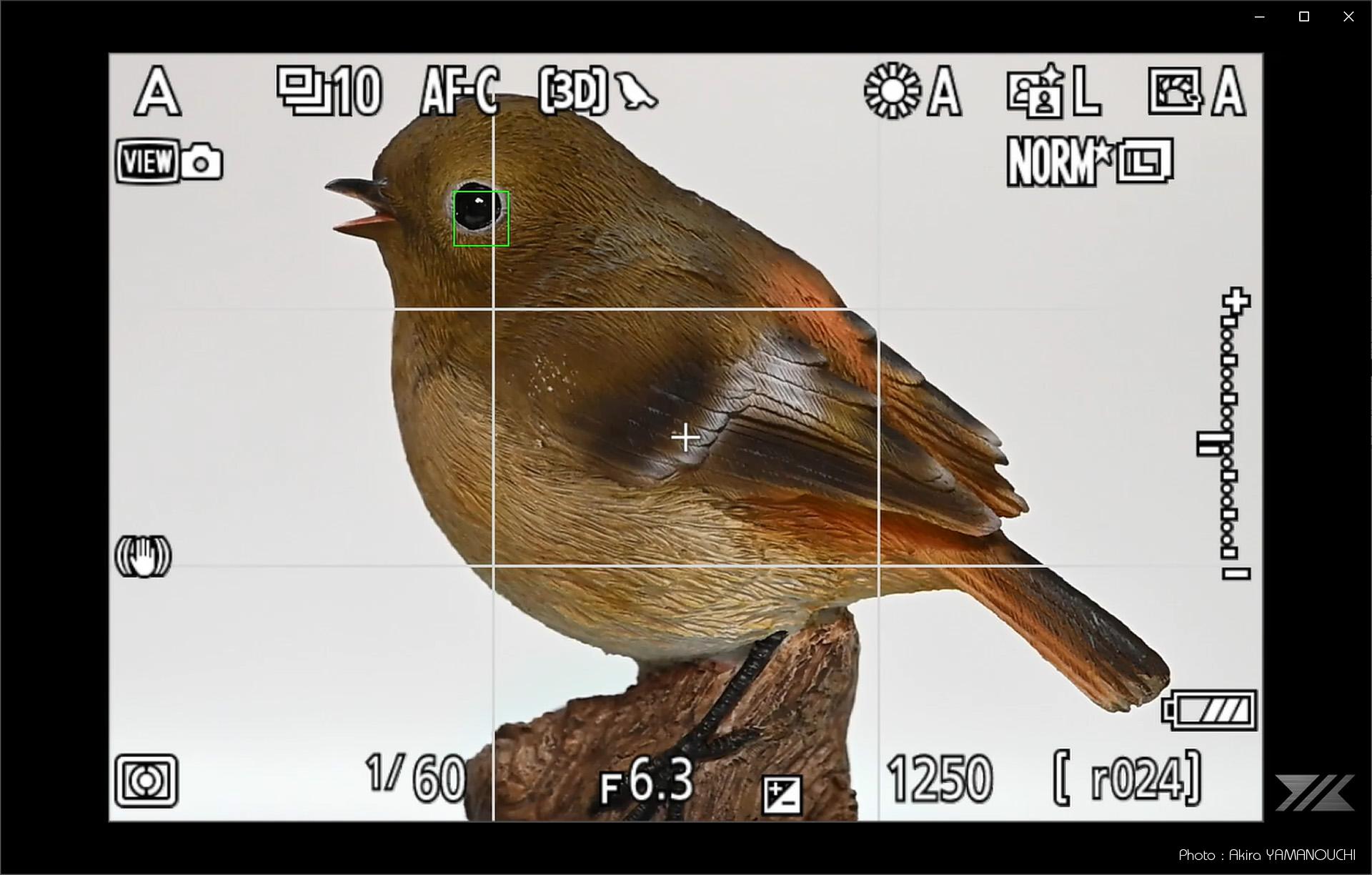 Nikon Z8（Ver. 2.00）+NIKKOR Z 600mm f/6.3 VR S：鳥モードの被写体検出