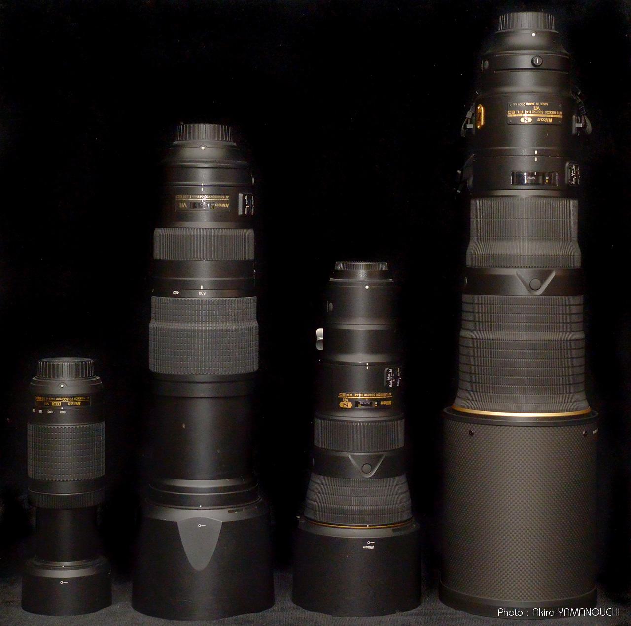 野鳥撮影に最適なカメラとレンズの組み合わせ：その1