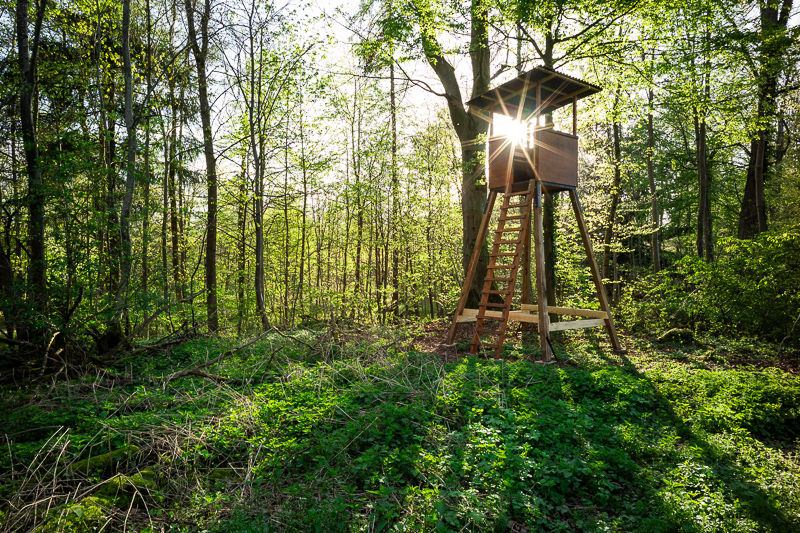 Review: Zeiss ZM 21mm 4.5 C-Biogon - phillipreeve.net