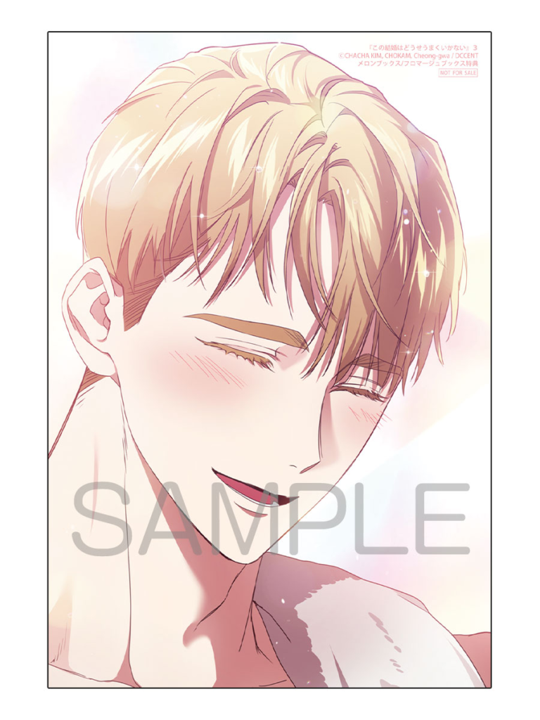 この結婚はどうせうまくいかない コミック第3巻商品・特典情報まとめ