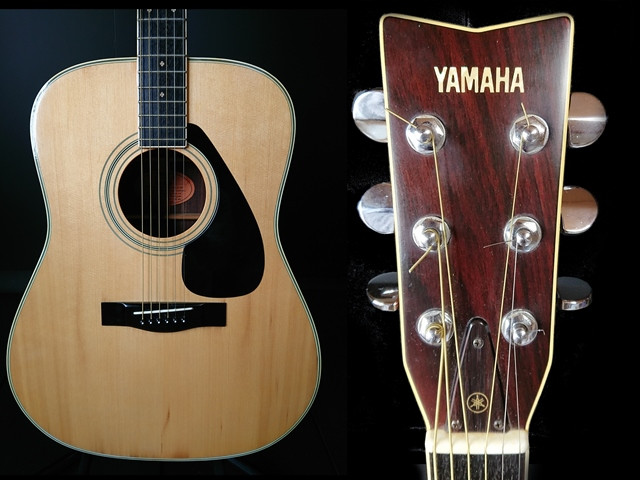 FG-301B Yamaha - PoloPPo Guitar Visual Dictionary