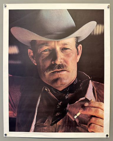 The Youngbloods Poster – Poster Museum