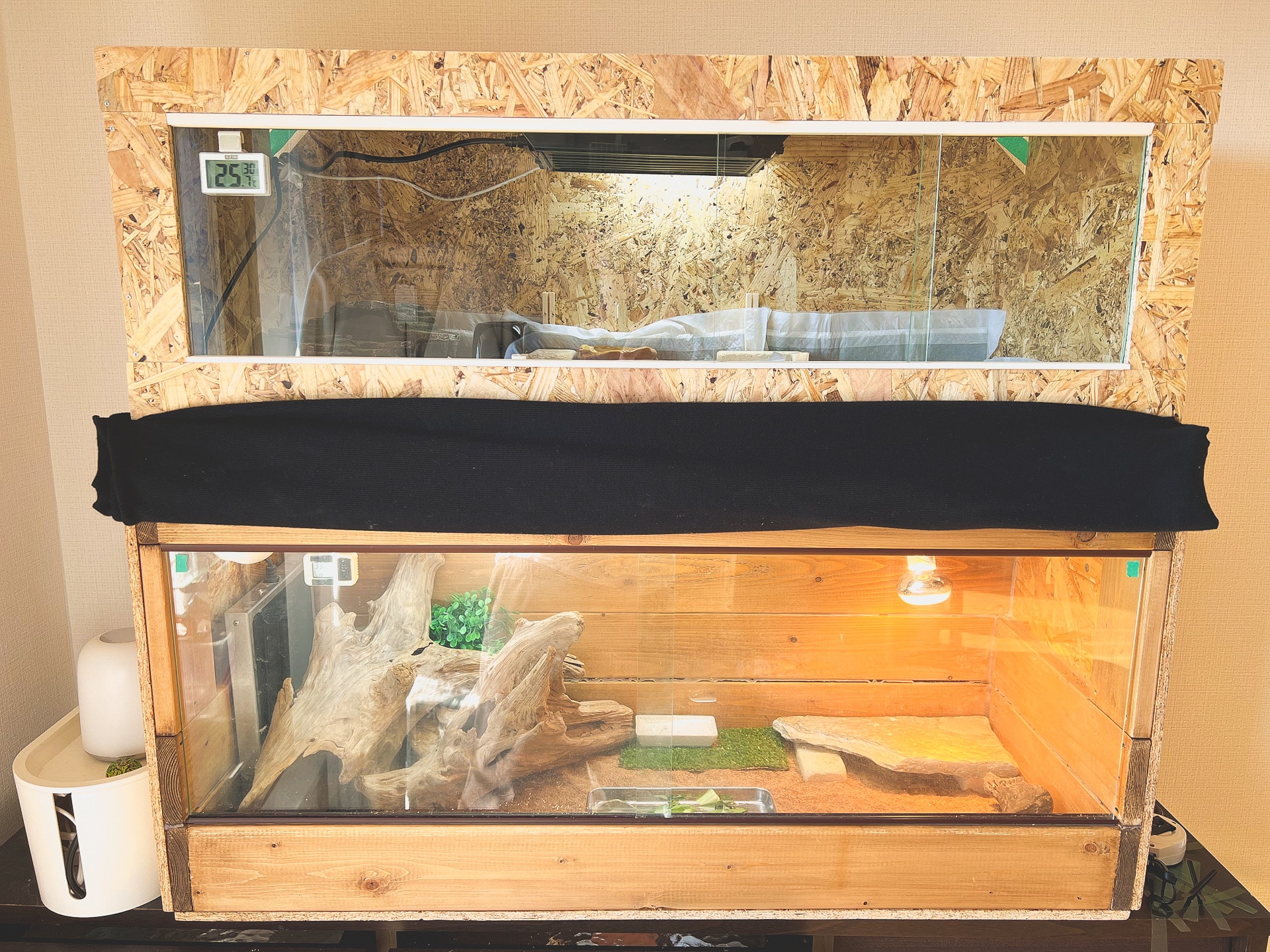 OSB材で作る！爬虫類自作ケージを紹介。