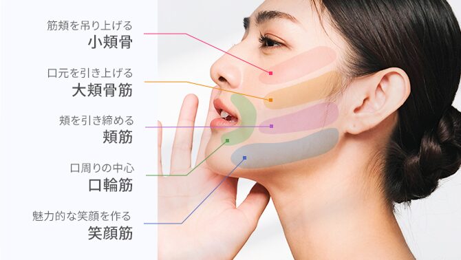 マルチフェイシャルスパ - PLUEST（プルエスト）公式ブランドサイト