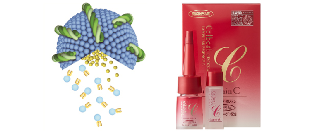 肌結果を求める人の化粧品「セルベスト リポコラージュ ラメラ