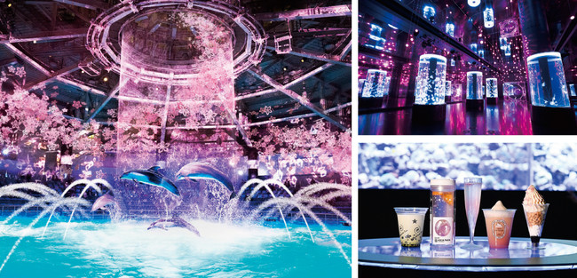 マクセル アクアパーク品川 360度デジタルアートの花びらにつつま