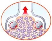 おうちエステ！セルフケアでは落としにくい凹凸脂肪にアタック！自宅で
