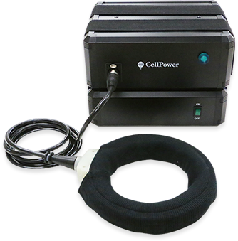 冬に向けて免疫力を維持しよう】1,115人の医師に「免疫力の維持