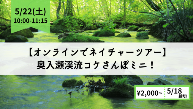 青森県十和田市】オンラインネイチャーツアー 奥入瀬渓流コケさんぽ