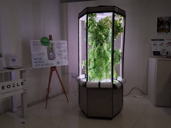 全自動家庭菜園キット「エアロスプリング(Aerospring)」がクラウド