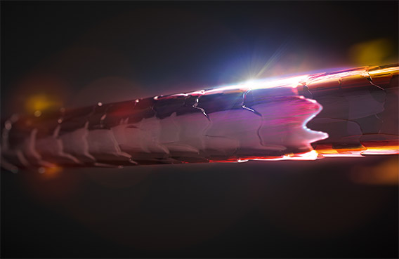 次世代型の新染料“レインボー染料”により、新しい色表現を可能にする