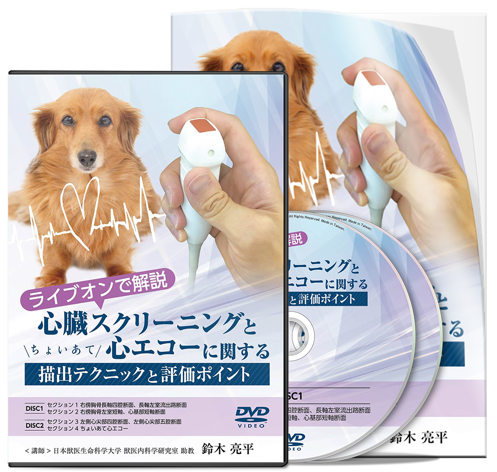 獣医内科学 第3版 産業動物編 【公式通販】